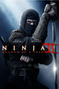Ninja: Shadow of a Tear (2013)