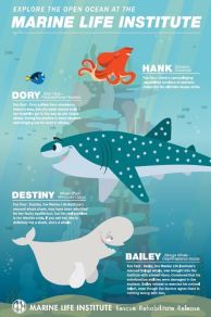 Finding Dory: Marine Life Interviews (2016)