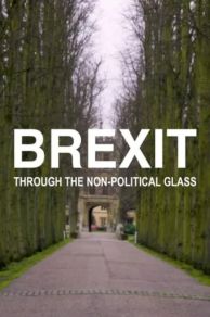 Brexit Through the Non-Political Glass (2021)