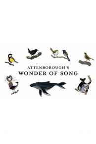 Attenboroughs Wonder of Song (2022)