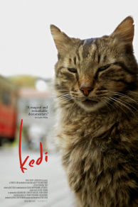 Kedi (2016)