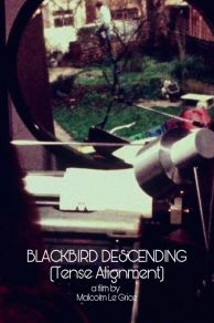 Blackbird Descending (1977)