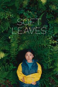 Soft Leaves (2025)