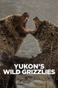 Yukons Wild Grizzlies (2021)