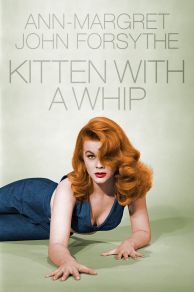 Kitten with a Whip (1964)