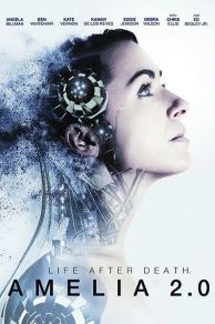 Amelia 2.0 (2017)