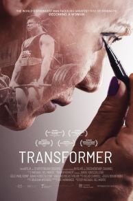 Transformer (2017)