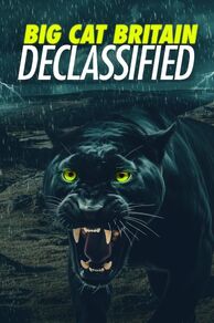 Panthera Britannia Declassified/Big Cat Britain Declassified (2023)