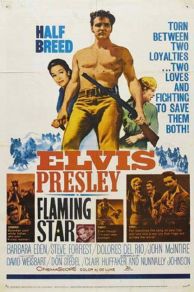 Flaming Star (1960)