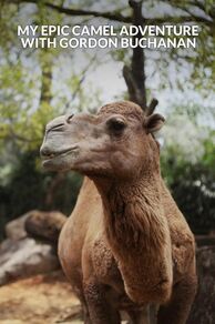 My Epic Camel Adventure with Gordon Buchanan (2024)