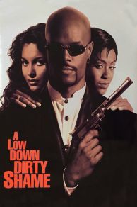 A Low Down Dirty Shame (1994)