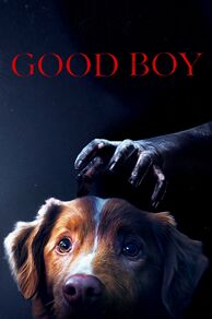 Good Boy (2025)