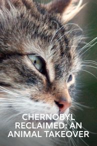 Chernobyl Reclaimed: An Animal Takeover (2007)