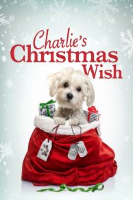 Charlies Christmas Wish (2020)