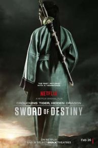 Crouching Tiger Hidden Dragon: Sword of Destiny (2016)