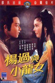 Little Dragon Maiden (1983)