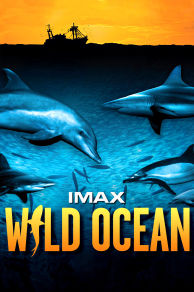 Wild Ocean (2008)