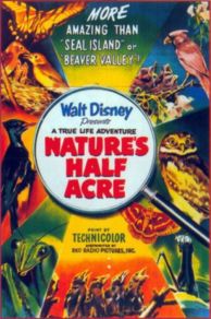 Natures Half Acre (1951)