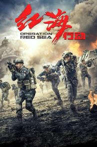 Operation Red Sea (2018)