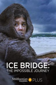 Ice Bridge: The Impossible Journey (2018)