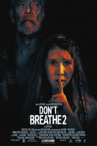 Dont Breathe 2 (2021)