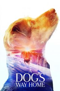 A Dogs Way Home (2019)