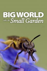 Big World in a Small Garden (2016)