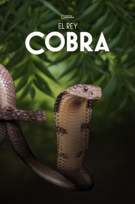 Secrets of the King Cobra (2010)