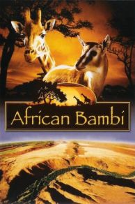 African Bambi (2007)