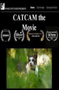 CatCam (2012)