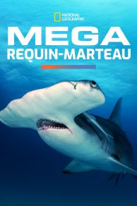 Mega Hammerhead (2016)