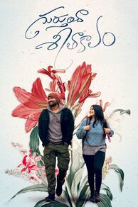 Gurthunda Seethakalam (2022)