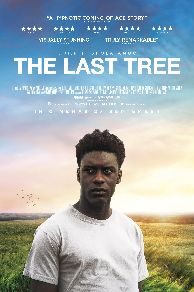 The Last Tree (2019)