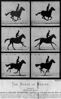 Sallie Gardner at a Gallop