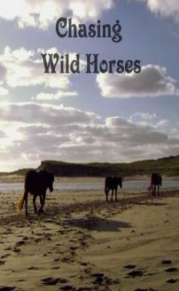 Chasing Wild Horses