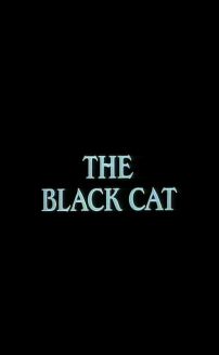 The Black Cat