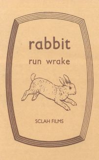 Rabbit