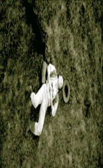 Tom Merritt