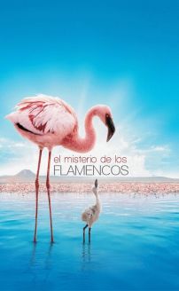 The Crimson Wing: Mystery of the Flamingos