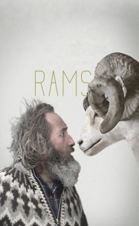 Rams