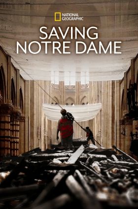 Saving Notre-Dame (2020) (TV)