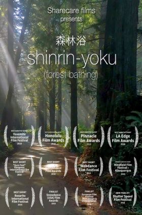 Shinrin-Yoku : Forest Bathing