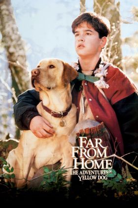 Far from Home: The Adventures of Yellow Dog