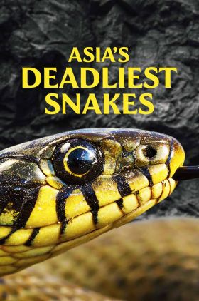 Asias Deadliest Snakes