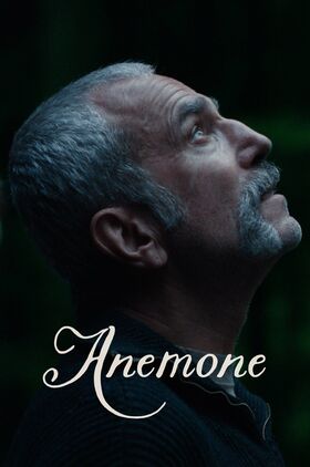 Anemone