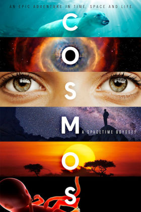 Cosmos: A Spacetime Odyssey