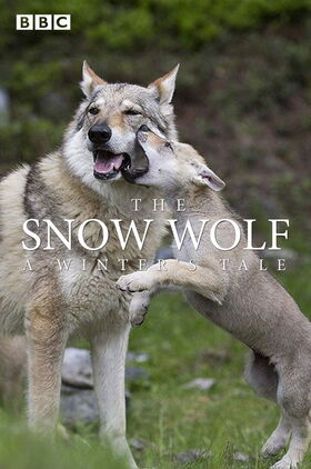 The Snow Wolf: A Winters Tale