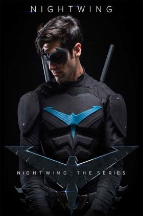 Nightwing: The Series