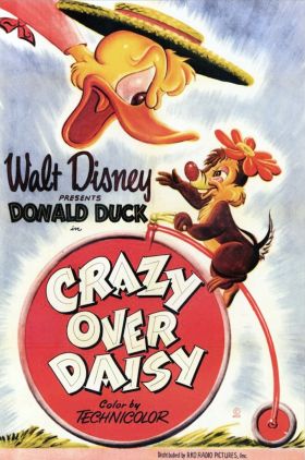 Crazy Over Daisy