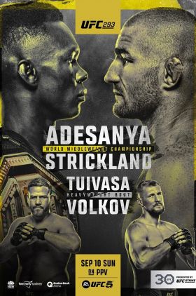 UFC 293